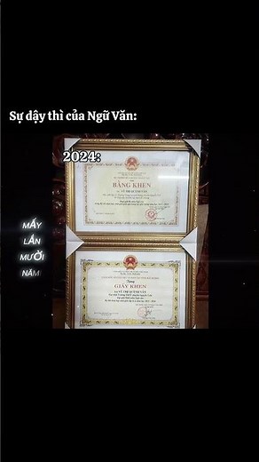 Sự dậy thì của văn chương: từ bài tập đọc tiếng việt đến hsgqg #literature