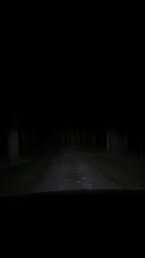 Come do a 3:30am flex route with me while 25 weeks pregnant! 🫣🌙💤 my first time doing one of these in soooo long, let’s just say I’ll be sticking to my 5-6am routes from now on 😅 follow me for more!💕 #amazonflex #scary #pregnant #fyp #sidehustle #trending #explore | Mariah Perry