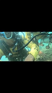 223 reactions · 6 comments | Using 100% oxygen for diving does allow more nitrogen offgassing and therefore a diver (in theory) has less "silent bubbles". A decompression stop is the period a diver must spend at a relatively shallow constant depth during ascent after a dive to safely eliminate absorbed inert gases from the body tissues sufficiently to avoid decompression sickness. Denz Segovia Abaser #dive #oxygen | Ghaz Wild | Facebook