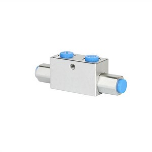 [Hot Item] High-Performance Dual Pilot Check Valve with Secure Locking Mechanism