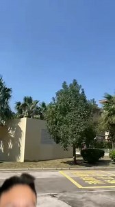 11K views · 354 reactions | Real life Remote control Bird | Arnie | Facebook