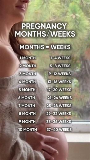 Pregnancy weeks can feel so confusing 🤍