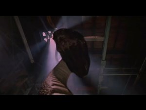 Python (2000) Cena Final