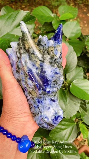 RIGEL BLUE RAY ADMIRAL HYDROGEN SONG LINES SODALITE DRAGON This glorious SODALITE DRAGON hails from BLUE STAR RIGEL from where he frequences the GALACTIC HYDROGEN SONG LINES through Gaia and our DNA HYDROGEN BONDS. This rewires OUR DNA SONG LINES to their SACRED ACOUSTICS AND GEOMETRY. He also traces the GOLD RAY CHRISTIC CONSCIOUSNESS from the right horn, to forehead and left horn. His BLUE AZURE RADIANCE brings healing and restoration to our Energetic Orion War Wounds, as well as generally soa