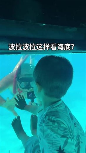 波拉波拉带娃日常｜玻璃船一个在海底，两个在船底😂😂玻璃船视角太妙了！#波拉波拉岛 #大溪地#海岛带娃 #海岛生活#玻璃船