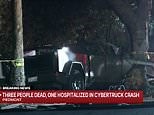 Three college students killed in cybertruck crash after slamming into tree