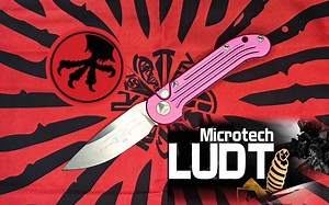 微技术LUDT—粉色闪电