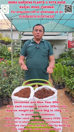 INDRA GARDENS PLANTS & POTS SHOP CHENNAI. Christmas and New Year Offer 2 cocopeat powder 225rs only.