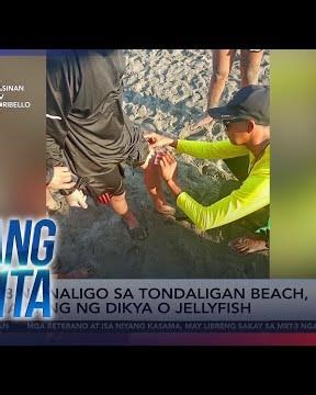58 na naligo sa Tondaligan Beach sa Dagupan, Pangasinan, na-sting ng dikya o... | Unang Balita