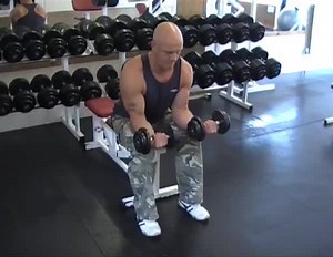 Seated Dumbbell Wrist Curl
