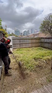 His yard got out of control #yard #asmr #satisfying #lawncare #home #renovation #transformation #construction | Nathans Lawns and Gardens