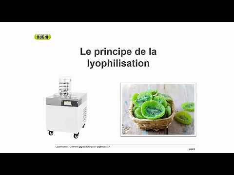 Lyophilisation : comment gagner du temps
