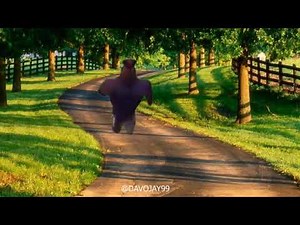 Run Forrest Run! (Officer Earl Running Meme)