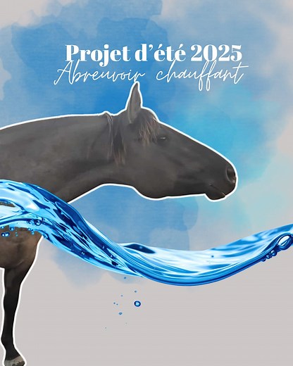 Ça faisait 10 ans que j'attendais ça. Pu capable de dérouler (et re-rouler!!!) 200 pieds de tuyaux l'hiver pour me rendre à mes enclos tout les deux jours. D'arriver un matin à -30 et mon bac est un énorme glaçon ❄️ parce que mon chauffe-eau a lâché dans la nuit (toujours le dimanche quand tout est fermé...) J'en faisais de l'anxiété de ma gestion d'eau depuis trop longtemps. FINI. 🩵💙 Merci à la famille & amis qui ont font la différence ! #farmchores #farmlifebestlife #horseowners #watercolor 