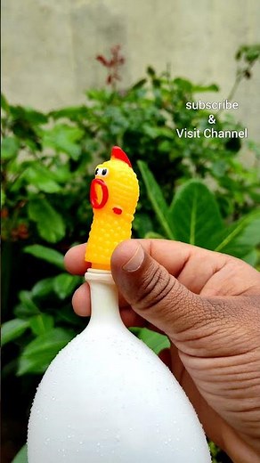 Balloon Rubber Chicken Squeaky Sound | Modified Squeaky Toys Playing | Chicken Toy Squeaker Sound