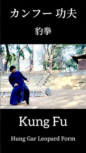 カンフー 功夫 練習 【洪家拳 豹拳】Kung Fu Training Hung Gar 5 Animal Leopard Form