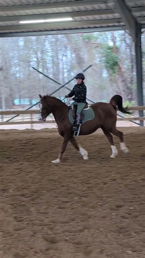 Margot's Pony Club (Lesson w/ Caroline w/ Arrogon @ Cottonwood Farm 3-2-26 😊🐎)