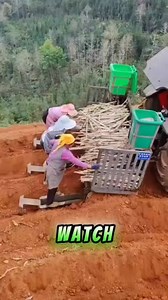 20K views · 71 reactions | China’s New Solar Power Tech Will Blow Your Mind #shorts #facts #solar #china #viralreels | Firals | Facebook