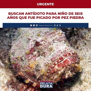 213K views · 1K reactions | [URGENTE] Hacen un llamado urgente para...