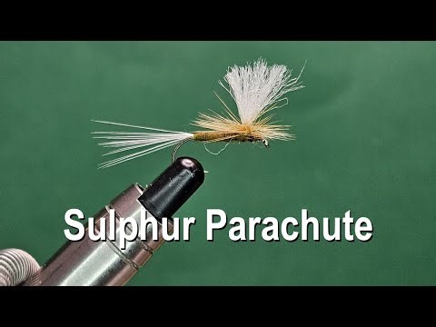 Sulphur Parachute - One Fly A Day
