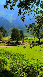 4.5M views · 353K reactions | Nature beauty ♥️ | Nature Beauties | Facebook