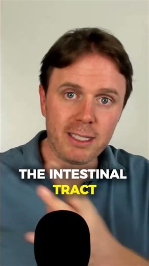 Why Chewing Your Food Is So Important for Digestion