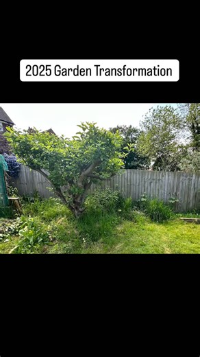I love a challenge. Digging an overgrown border and planting it up, is so therapeutic. I feel so accomplished watching it grow into an established border. I have three more new gardens I’m working on over winter, digging up ground elder and planting up. I can’t wait to see them in the summer. #gardening #gardentransformation #northamptonshire | Country Cottage Borders