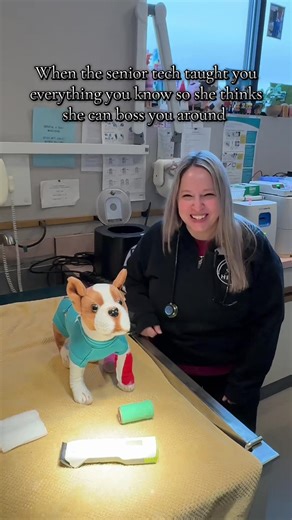 👶🏼 techs vs 👵🏼 techs at every vet clinic experience this ‼️ #vethospital #vettech #techtok #veterinarymedicine #animals