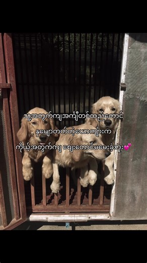 💕#foryoupage #cedz #tiktokviraltrending #fyp #foryou