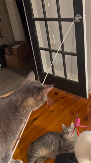 #teamwork | Craig Lewis