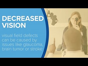 Visual Field Defects - Yale Medicine Explains