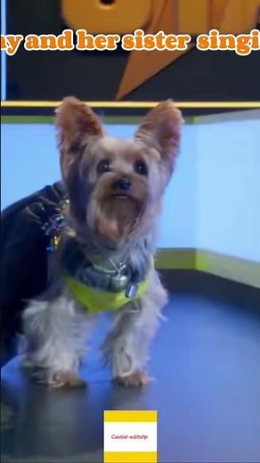 The best part of pup star are these two Singing #pupstar