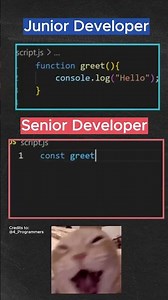 Senior Developer vs Junior Developer #2