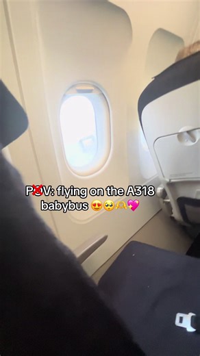 Flying on the A318 Babybus: A Unique POV Experience