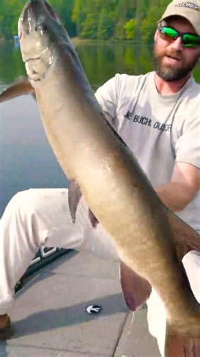 GIANT Wisco Musky ANNIALATES on BOMB CAST 💥 #fishing #musky #muskie #muskyfishing #giantfish #esox