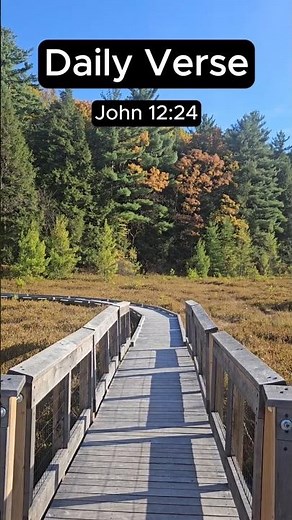 1 Verse, 1 Minute: John 12:24