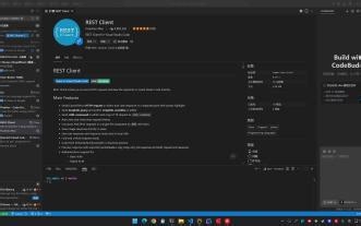 VS code中API调试插件REST Client分享