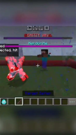HEROBRINE vs ENTITY 303!!!
