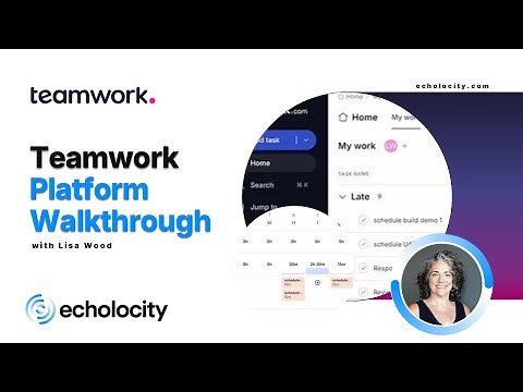 Teamwork.com Platform Walkthrough | Project Planning and Reporting | Dashboards and How to Navigate