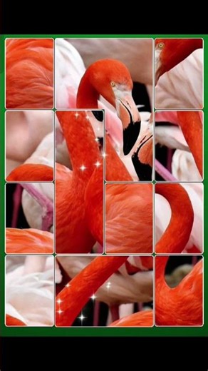 Every time you press the shutter, it is a conversation with the world.