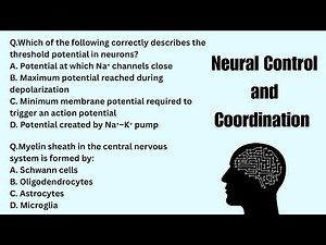 NEET Biology: Neural Control & Coordination MCQs