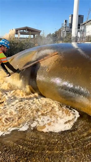 INUNDÓ EL JARDÍN DE SU CASA🏡🌊 #curiosidades
