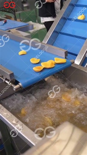 Mango Washing and Dicing Production Line