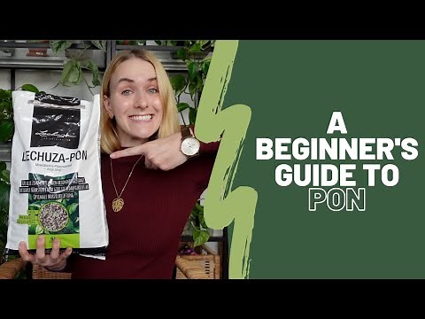 A beginner's guide to PON 🪨🪴| What is it, how to use it, PON vs. LECA