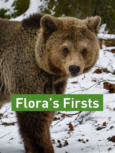Flora's Exciting Journey: Discovering New Senses