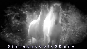 Real Unicorn Sighting caught on tape Amazing Raw footage IN HD.