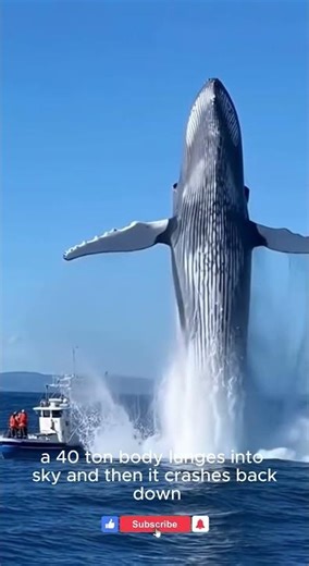 40-Ton Giant Explodes From The Ocean 🌊–Apex Hydra