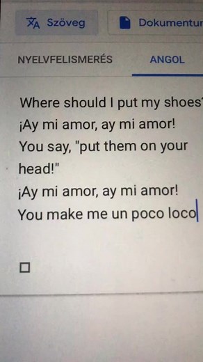 Google Translate a TikTokon