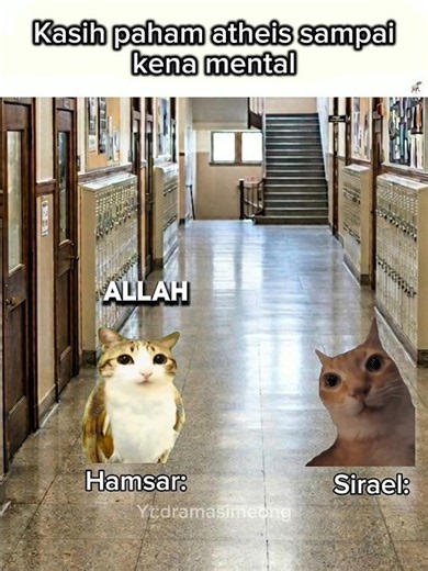 Langsung terdiam 🗿😂 #kucing #kucinglucu #viral #memekucing