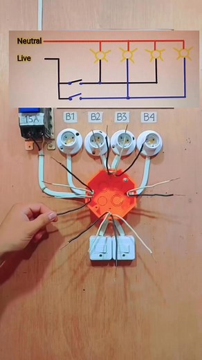Wiring of 4 light controlled by 1 switch #ElectricalTutorial #fypシ゚ #highlights | Electrical Tutorial